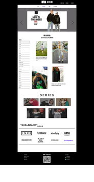 inxx原创网页设计与数据库管理实践