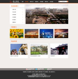 构建卓越用户体验 现代旅游网站设计的核心要素与实践