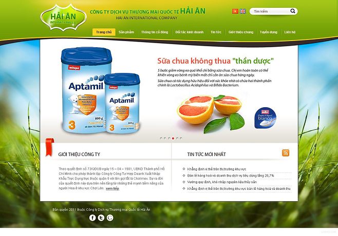 数据库管理系统的网页界面设计 用户体验与功能性的融合